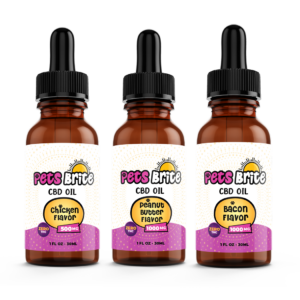 CBD OIL FOR DOGS – PETS BRITE